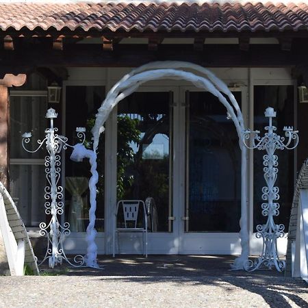 Hotel Las Casitas Del Jardin Тудела-де-Дуэро Экстерьер фото
